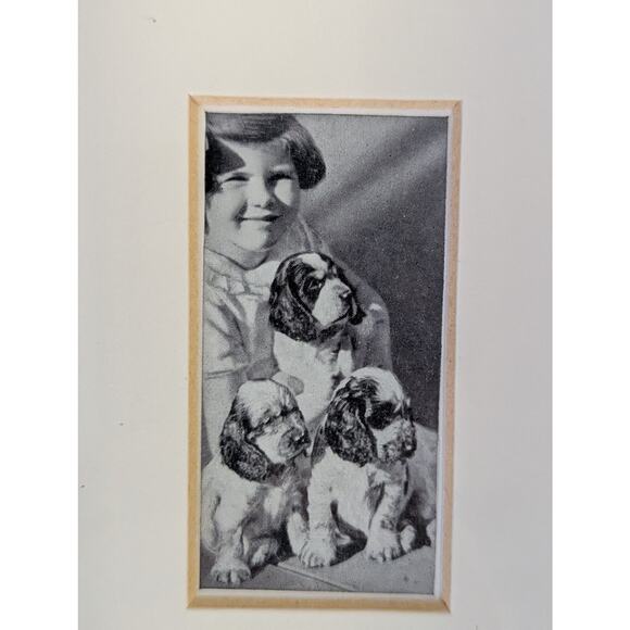 Vtg Cocker Spaniel Photos Framed Dogs and Friend Black White Lady Kitty Ritson - Picture 3 of 8